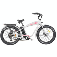 Chinese Adult E Bike Electric Bicycle with En15194